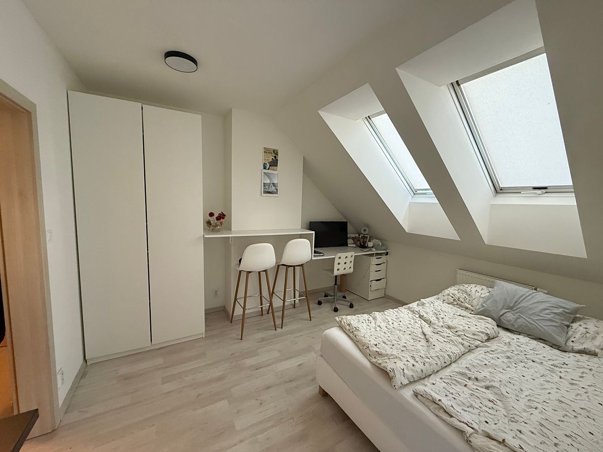 Pronájem bytu 1+kk 30 m² – fotografie 4