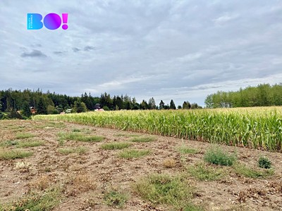 Grundstück zum Kauf, 1.949 m² (2 von 5)