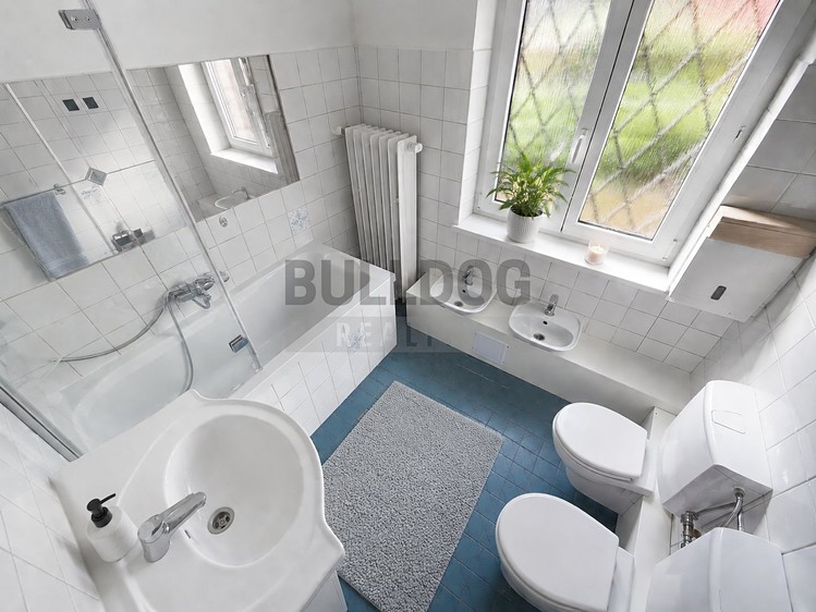 Prodej domu, 211 m² (11 z 25)
