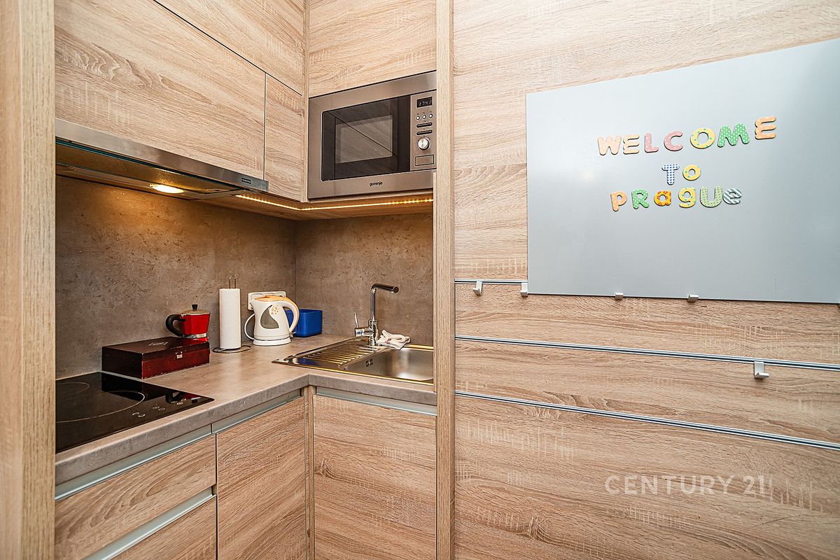 Pronájem bytu 1+1 30 m² – fotografie 3