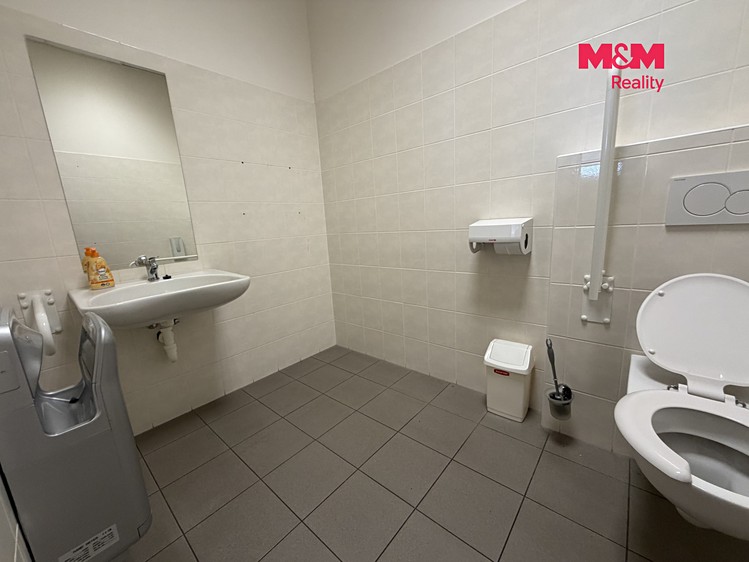 Комерційне приміщення в оренду, 420 м² (10 з 12)