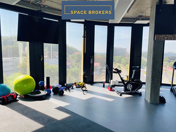 Gewerbefläche zur Miete, 520 m² (6 von 17)