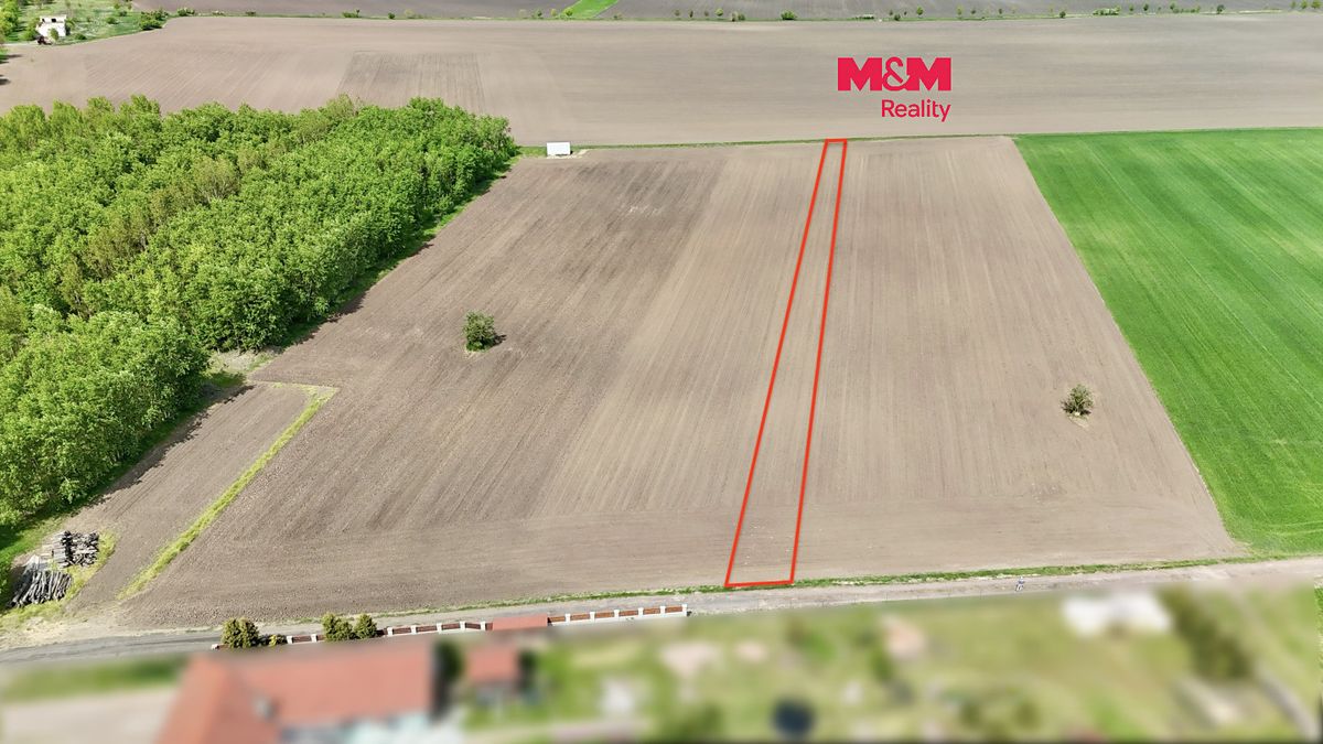 Prodej pole 2000 m², Jevišovka – fotka 1 z 3