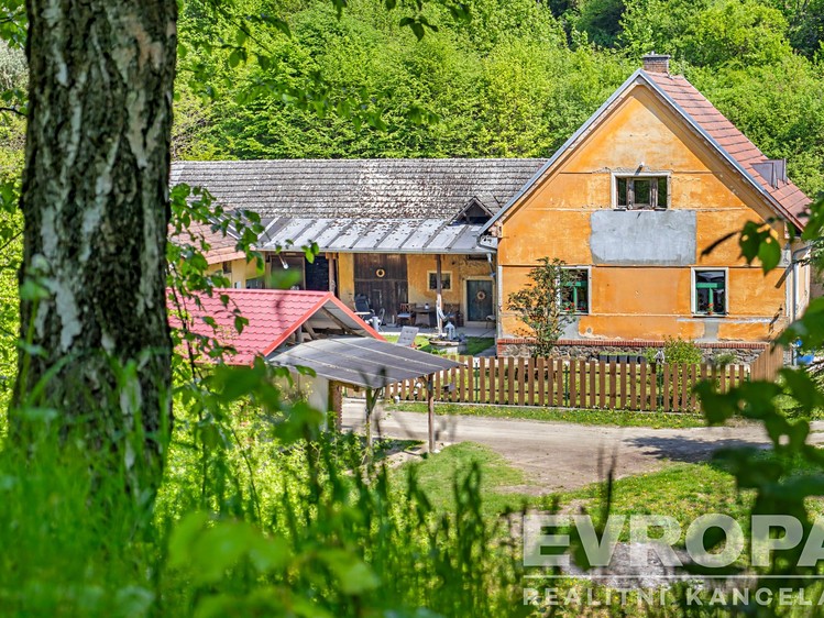 Haus zum Kauf, 300 m² (1 von 25)