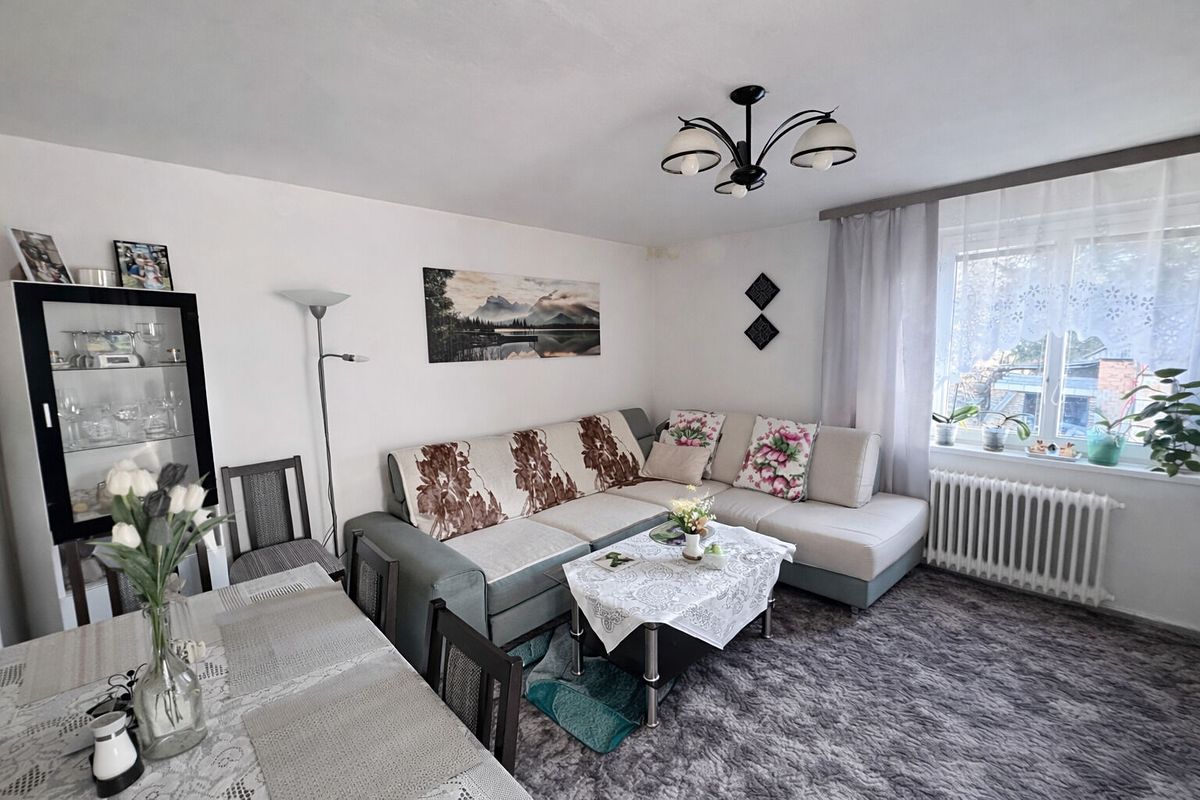 Prodej rodinného domu 300 m², pozemek 4753 m² – fotografie 4