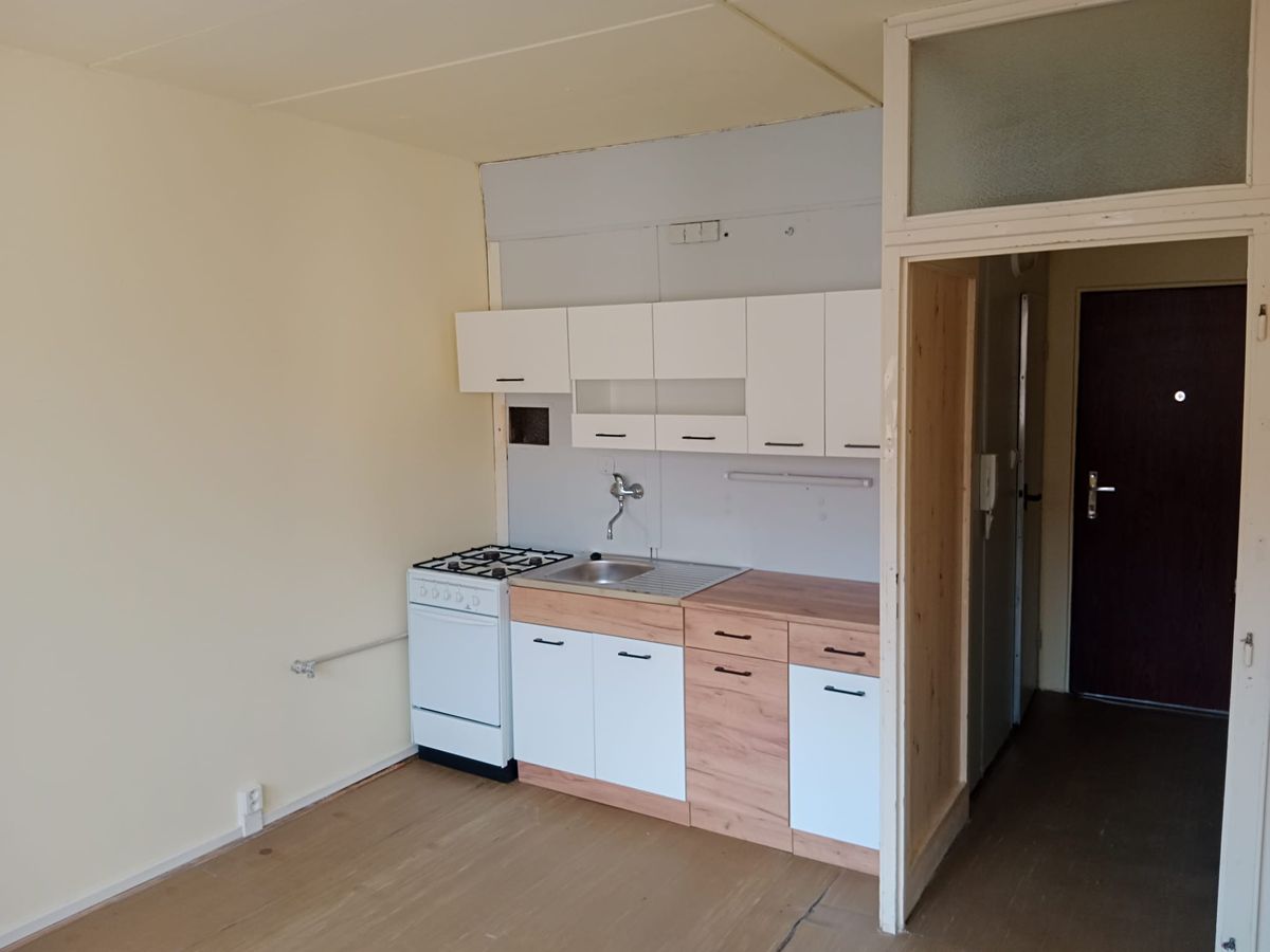 Pronájem bytu 1+1 36 m²