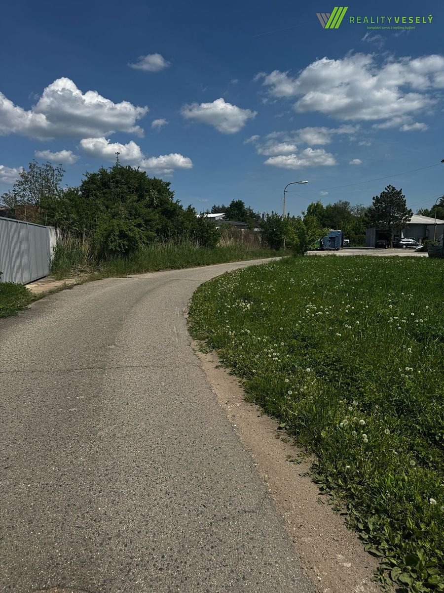 Pronájem pozemku 5059 m² – fotografie 3
