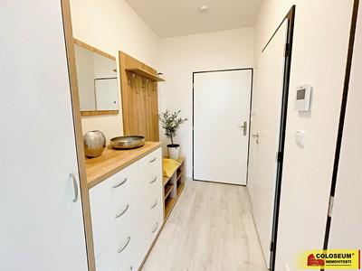 Pronájem bytu 2+kk 46 m²