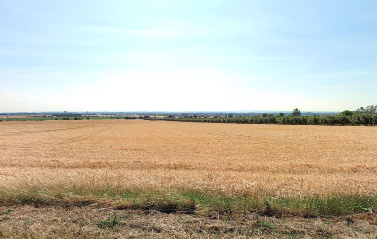 Prodej pole 29414 m²