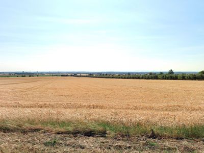 Prodej pole 29414 m²
