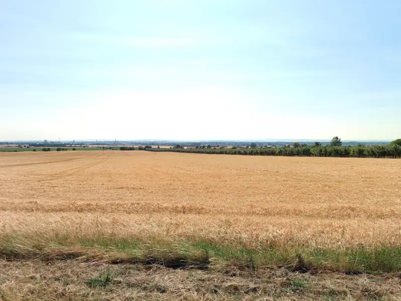 Prodej pole 29414 m², Olomouc – náhled fotky 1