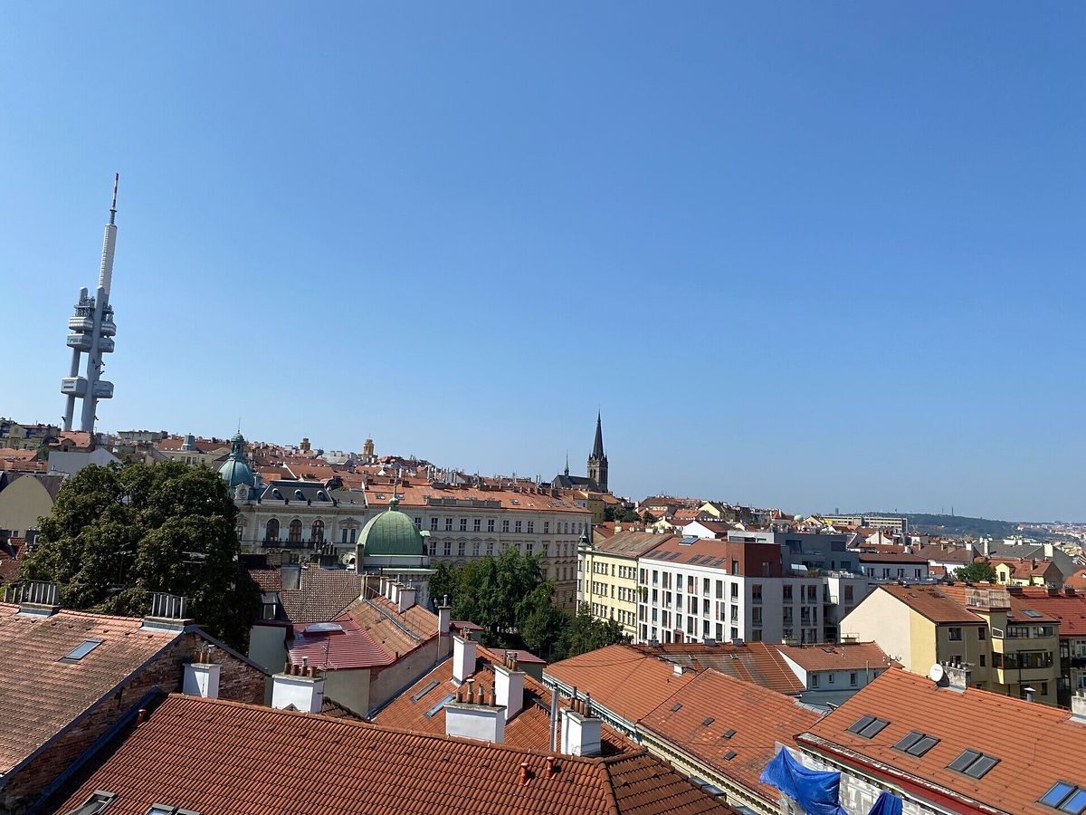 Pronájem bytu 4+kk 120 m² – fotografie 4