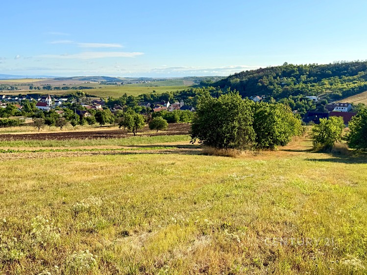 Ділянка на продаж, 3 981 м² (6 з 20)