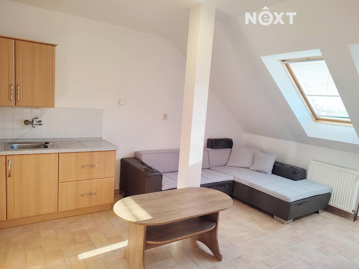 Pronájem bytu 1+1 47 m² – fotografie 4
