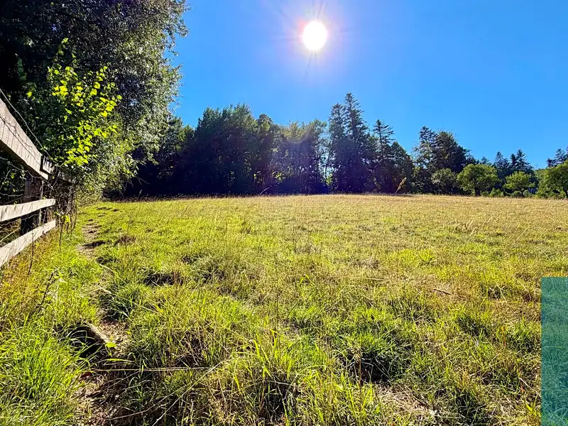 Prodej stavebního pozemku 3206 m², Podhradní Lhota – náhled fotky 2