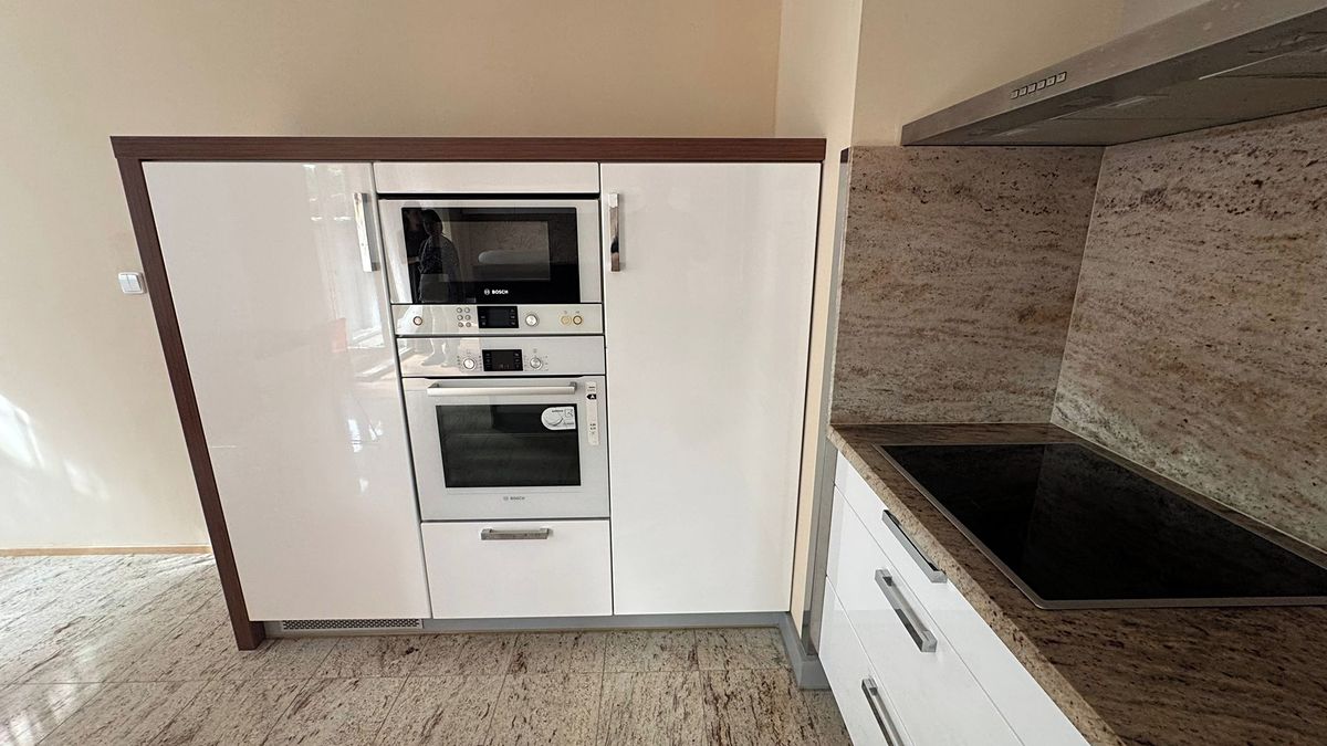 Pronájem rodinného domu 170 m², pozemek 320 m² – fotografie 3