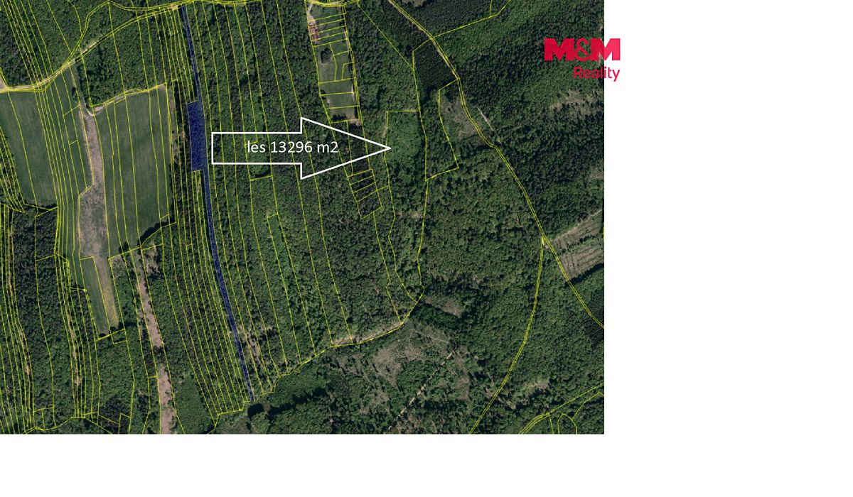 Prodej lesa 13296 m²