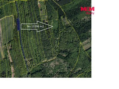 Prodej lesa 13296 m²