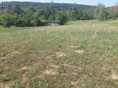 Prodej  zahrady 3 220 m²
