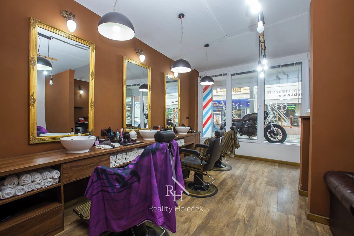 Prodej činžovního domu 935 m² – fotografie 3
