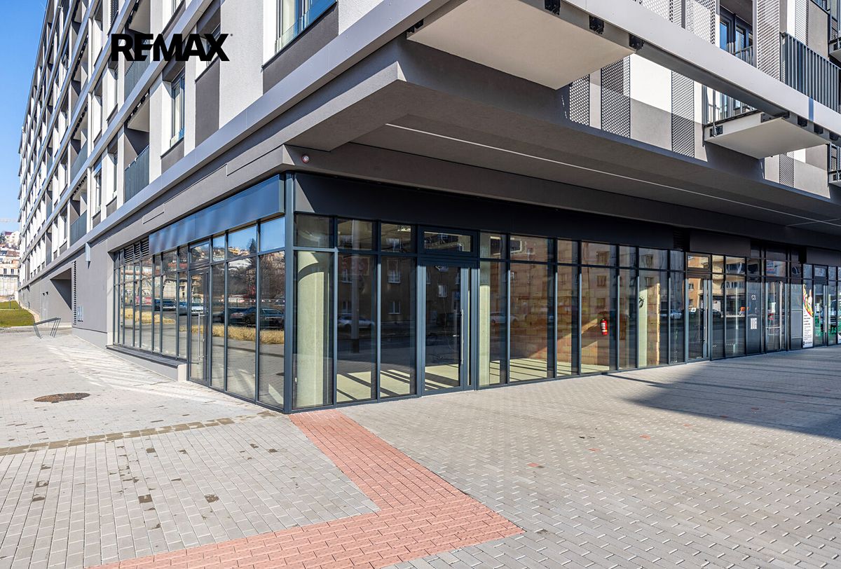 Pronájem obchodního prostoru 194 m² – fotografie 3
