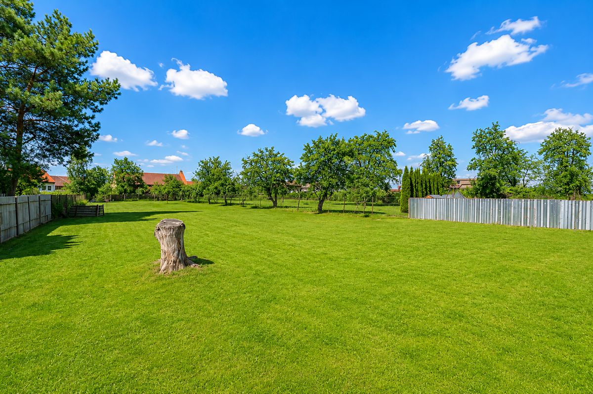 Prodej stavebního pozemku 2427 m², Březovice – fotka 1 z 3
