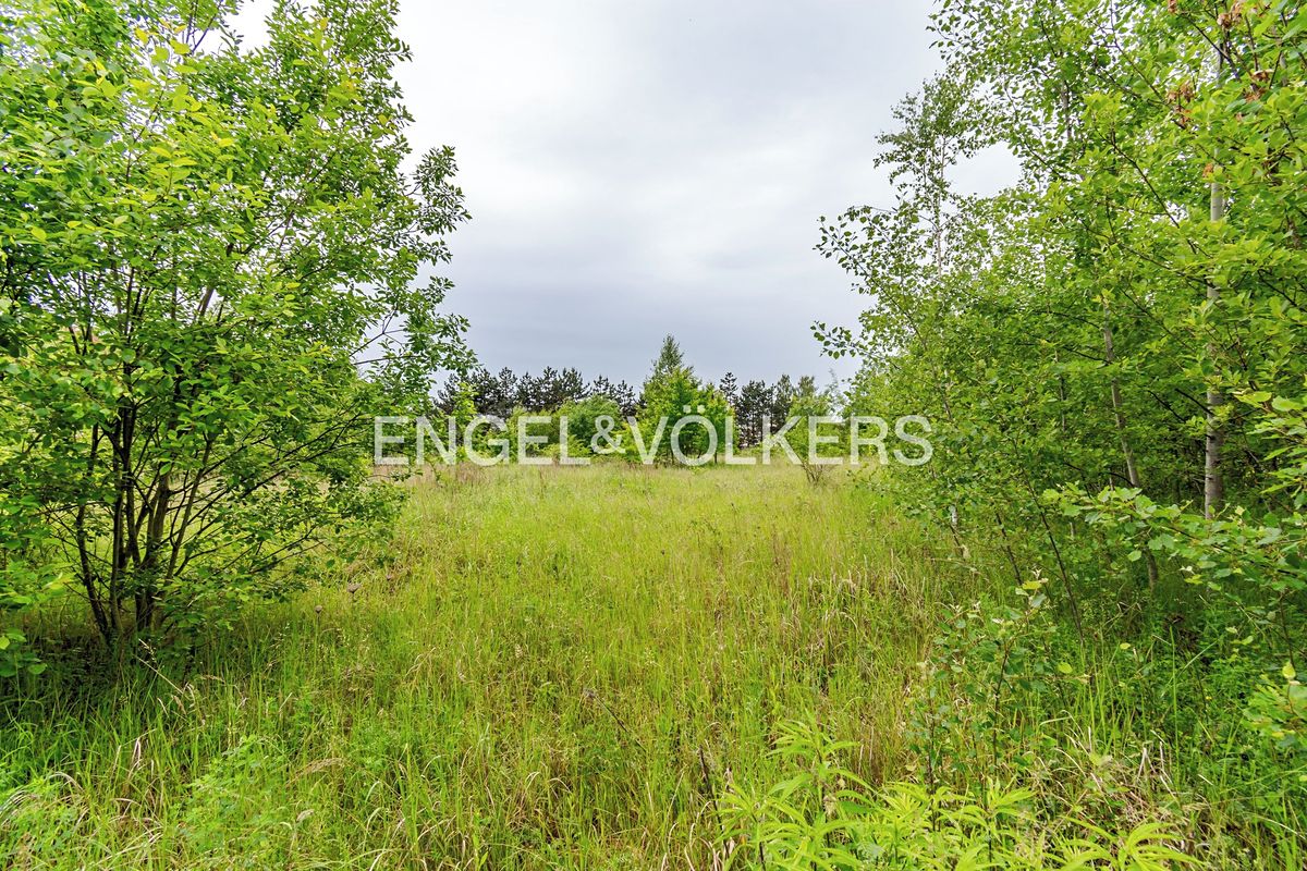 Pronájem komerčního pozemku 30283 m²