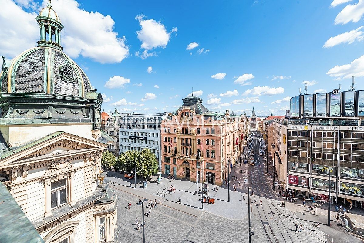 Pronájem kanceláře 231 m² – fotografie 3