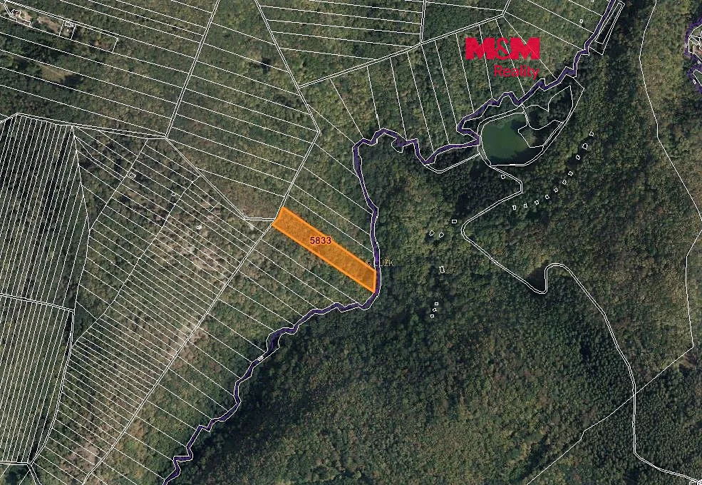 Prodej lesa 7566 m²