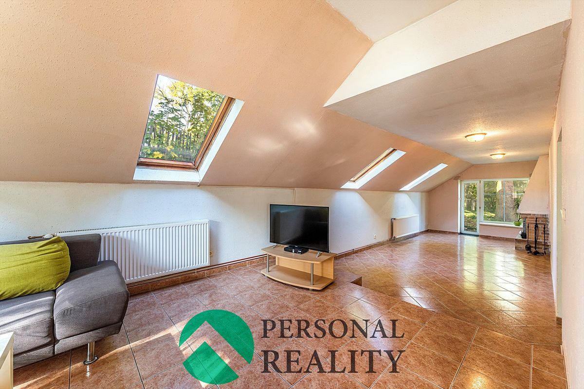 Prodej rodinného domu 460 m², pozemek 2975 m² – fotografie 3