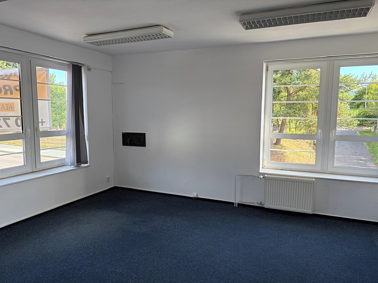 Pronájem komerčního prostoru, 162 m² (2 z 14)