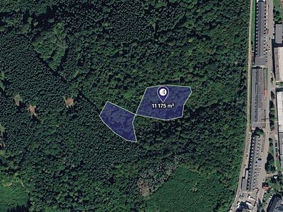 Prodej lesa 11175 m²