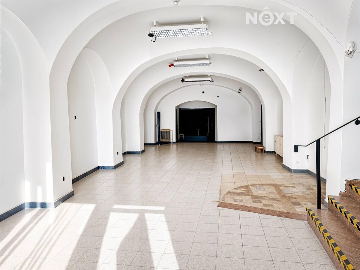 Pronájem obchodního prostoru 320 m² – fotografie 2