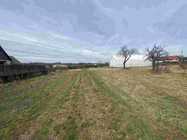 Grundstück zum Kauf, 1.254 m² (1 von 9)