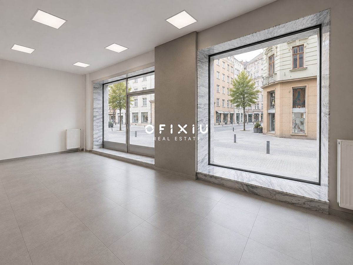 Pronájem obchodního prostoru 109 m² – fotografie 3