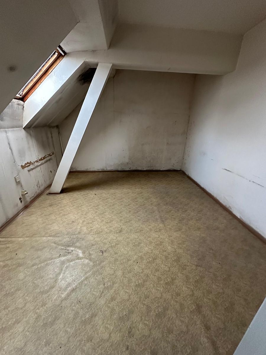 Prodej rodinného domu 550 m², pozemek 550 m² – fotografie 4