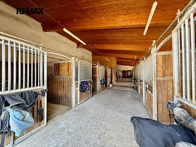 Prodej zemědělského objektu 1300 m²
