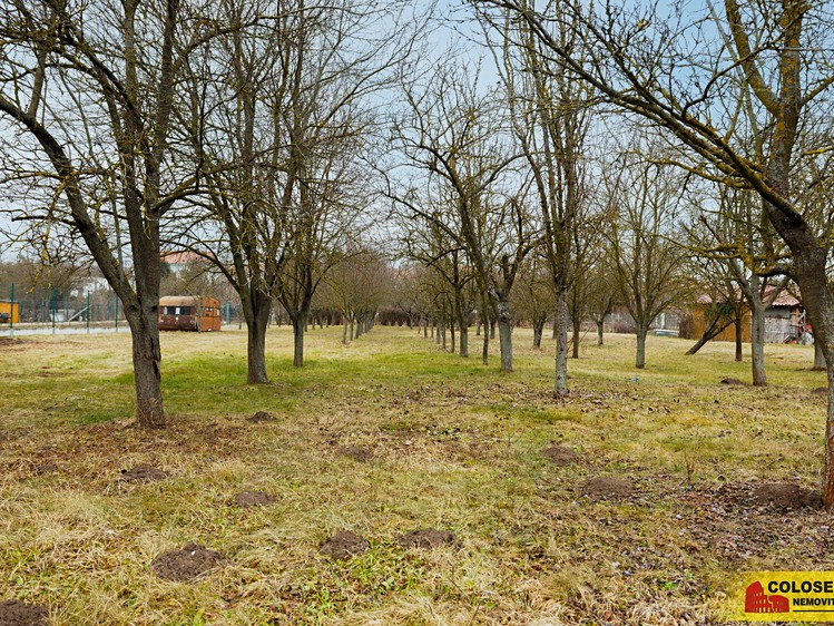 Prodej komerčního prostoru, 270 m² (38 z 39)