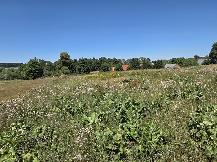 Grundstück zum Kauf, 1.888 m² (9 von 10)