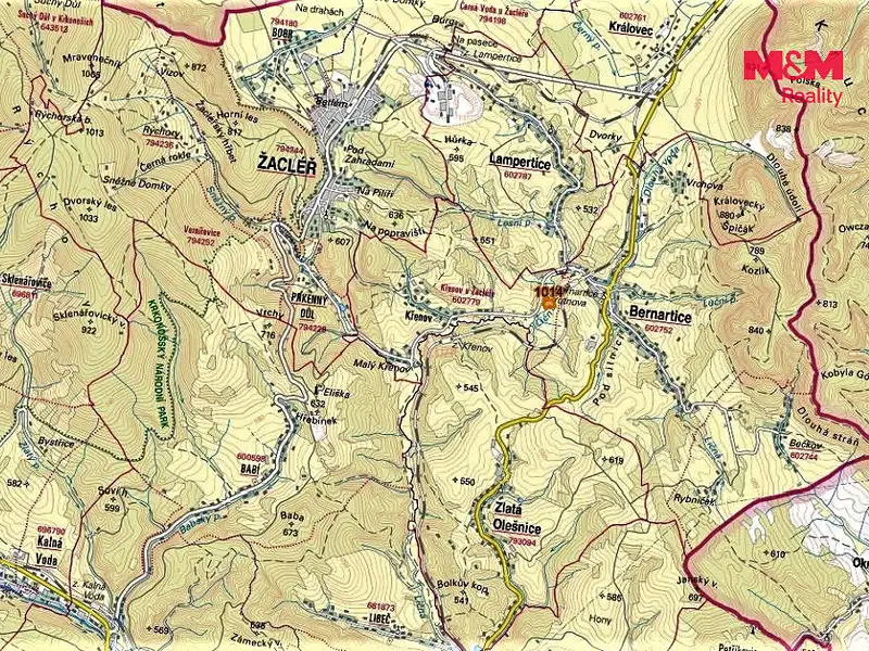 Prodej louky 15642 m², Bernartice – náhled fotky 2