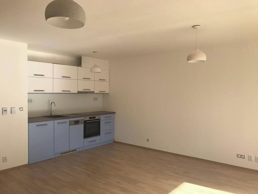 Pronájem bytu 1+kk 45 m²