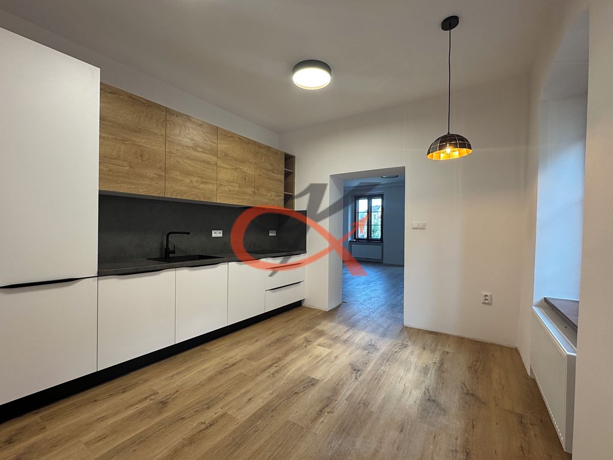 Pronájem bytu 1+1 64 m² – fotografie 3