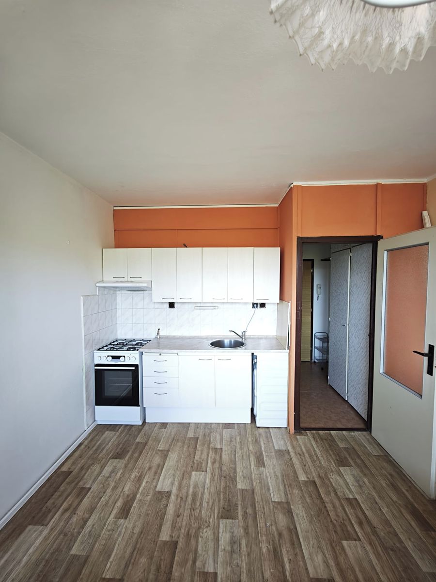 Pronájem bytu 1+1 36 m²