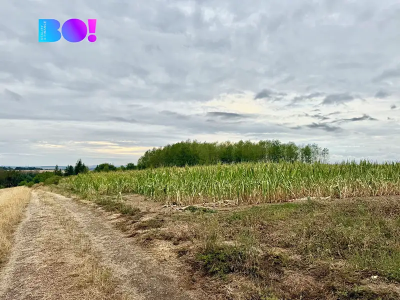Prodej stavebního pozemku 1949 m², Pucov – náhled fotky 3