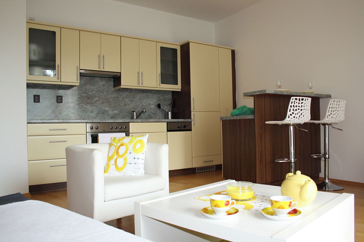 Pronájem bytu 2+kk 49 m² – fotografie 5