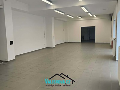 Pronájem komerčního prostoru, 210 m² (2 z 16)