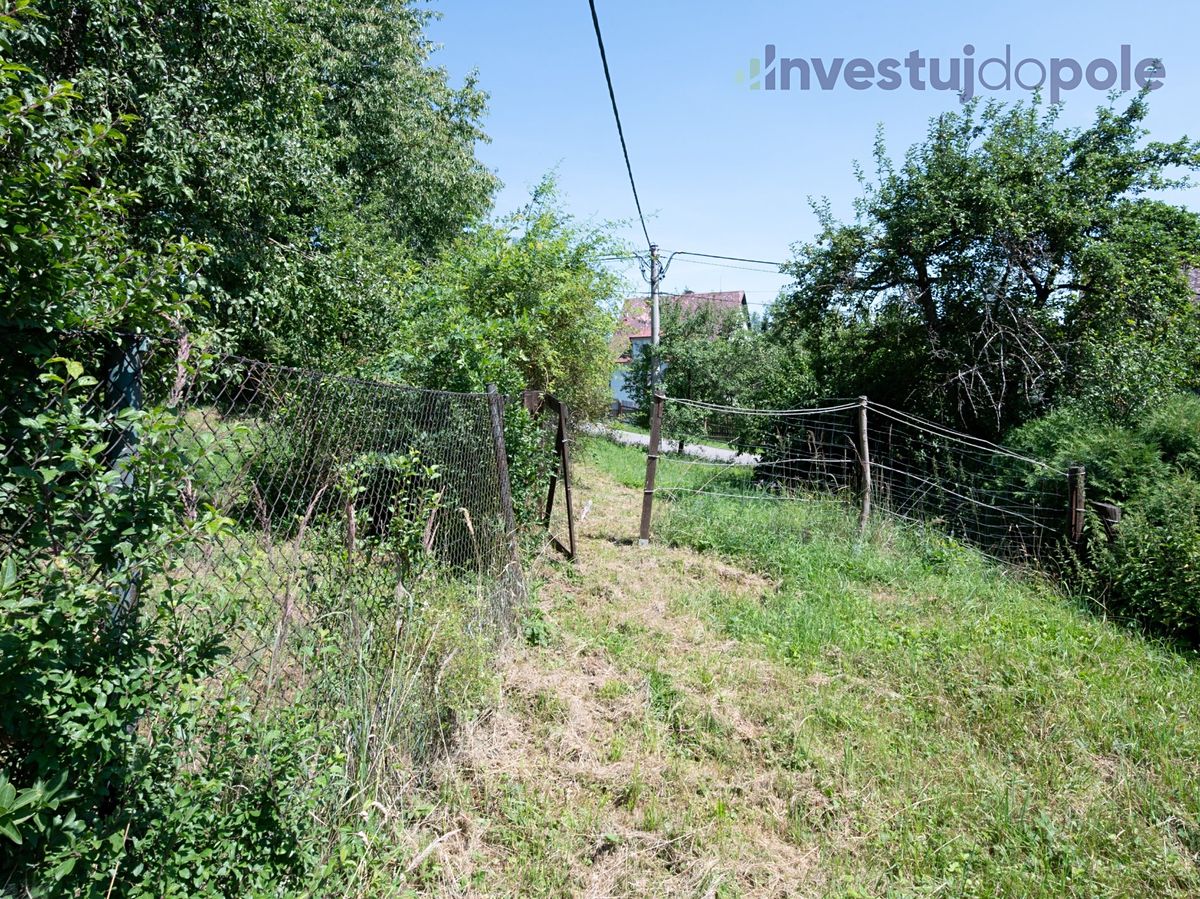 Prodej louky 2240 m² – fotografie 3