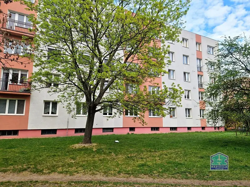 Prodej bytu 2+1 50 m², Plzeň – náhled fotky 1