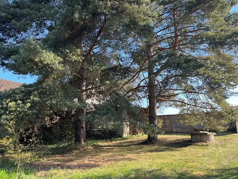 Prodej rodinného domu 100 m², pozemek 2068 m², Mladošovice – náhled fotky 2