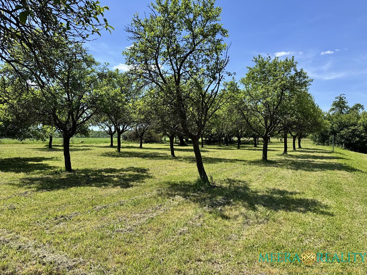 Prodej stavebního pozemku 2980 m² – fotografie 2